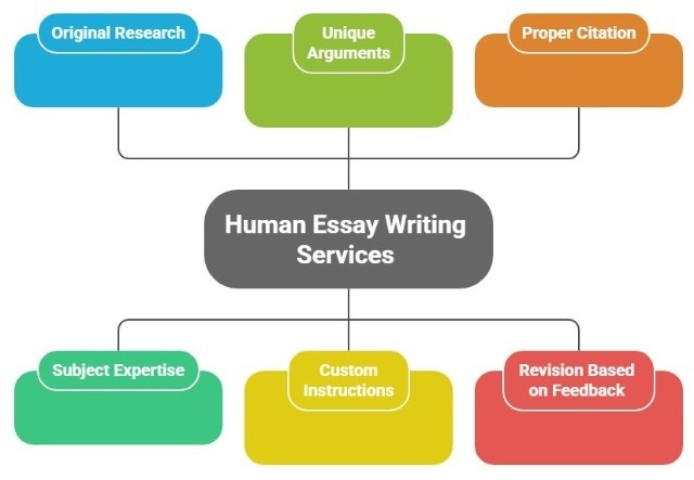 Human Essay Writing Services